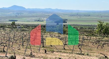 НОВАЯ ВИЛЛА В ЙЕКЛЕ, МУРСИЯ