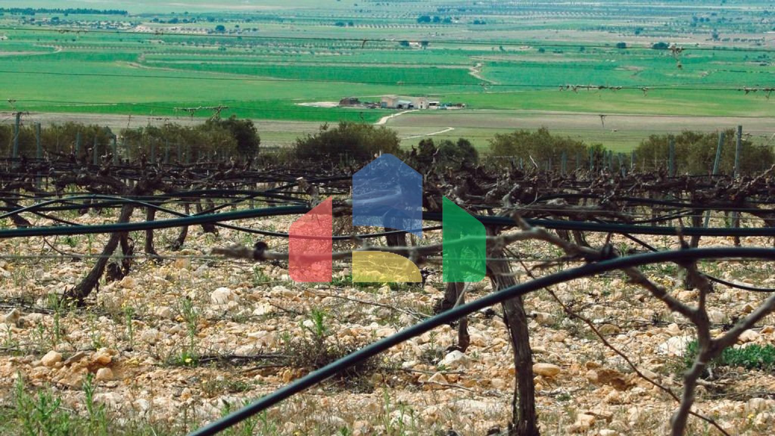 НОВАЯ ВИЛЛА В ЙЕКЛЕ, МУРСИЯ