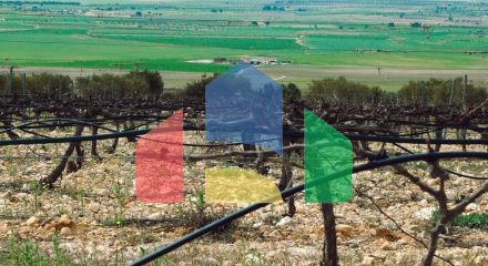 НОВАЯ ВИЛЛА В ЙЕКЛЕ, МУРСИЯ