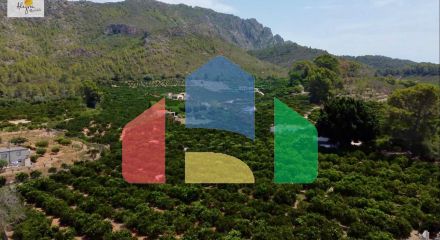 Chalet in Alzira ID V281