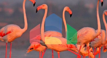 Новые дома на одну семью с частным бассейном Новые дома на одну семью с частным бассейном