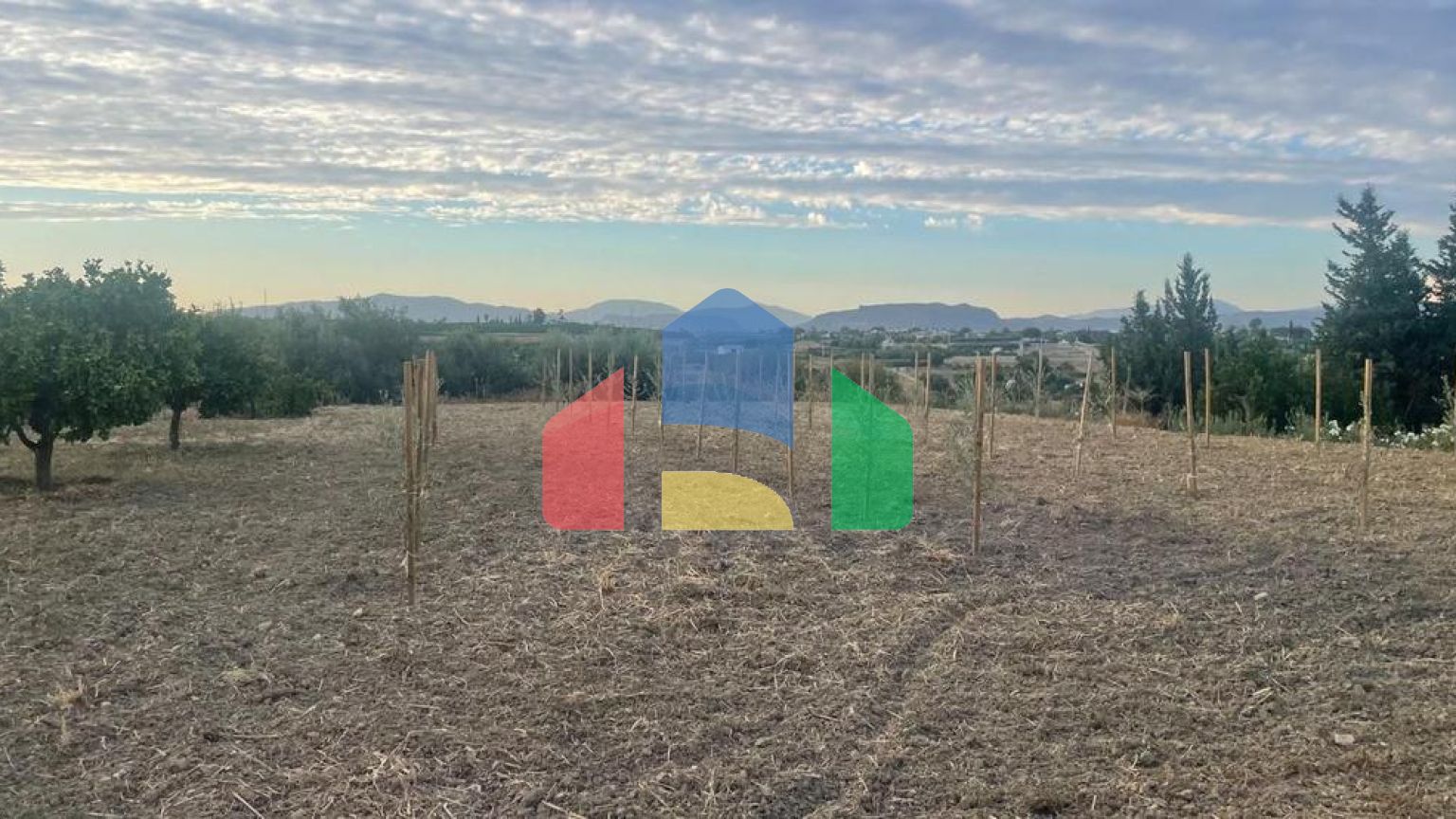 Вілла в Alhaurín el Grande ID RSL_R5123203