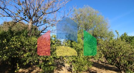 Вилла в Alora ID RSL_R5185891