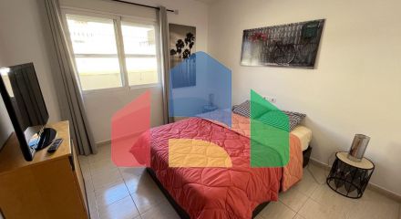 Semi-detached house with guest apartment