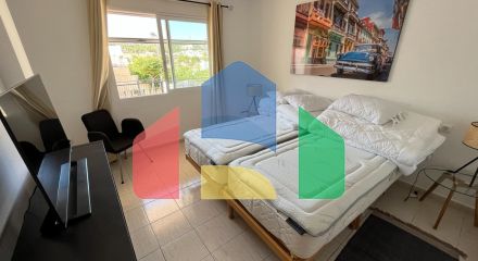 Смежный дом с гостевой квартирой