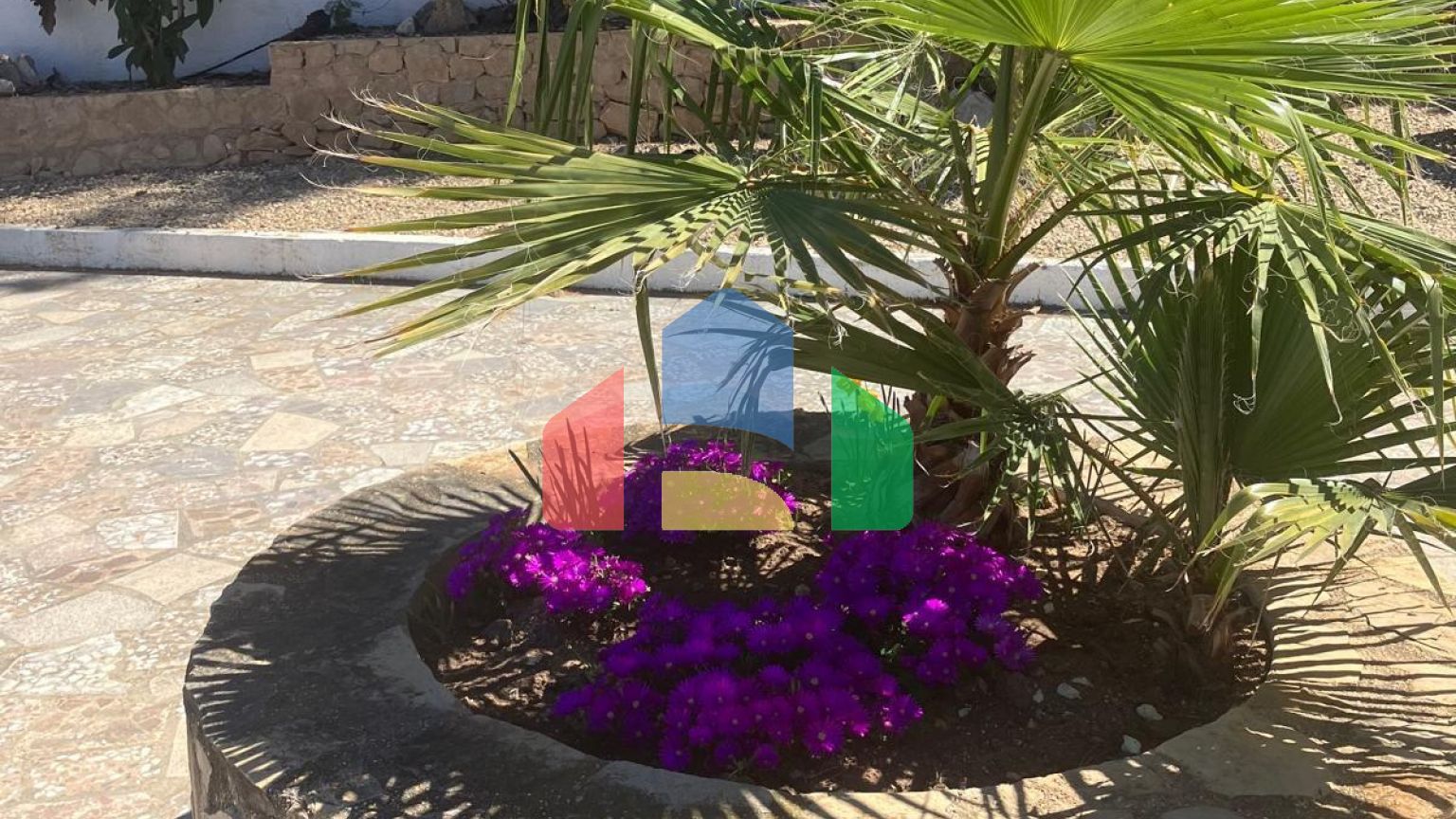 Вилла в Альбире