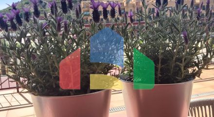 Апартаменты в Villanueva del Rio Segura ID A10298 Апартаменты в Villanueva del Rio Segura ID A10298