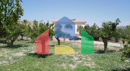 HOUSE WITH LAND MORE THAN 4400 m2. PRIVATE POOL. LANDSCAPE VIEWS.