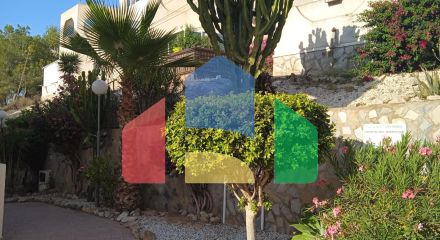 Апартаменты в San Miguel de Salinas ID B10662