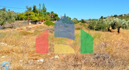 For Sale - Land 4700 m² in Attica
