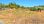 For Sale - Land 4700 m² in Attica