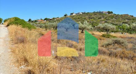 For Sale - Land 4700 m² in Attica