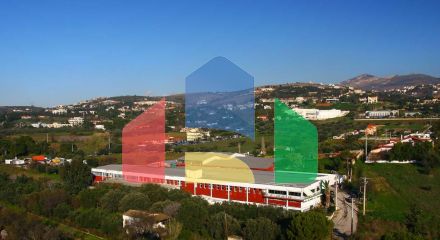 For Sale - Land 10741 m² in Attica