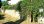 For Sale - Land 440 m² in Attica