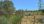 For Sale - Land 7700 m² in Attica