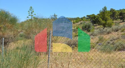 For Sale - Land 7700 m² in Attica