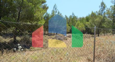 For Sale - Land 7700 m² in Attica