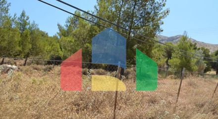 For Sale - Land 7700 m² in Attica