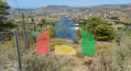 For Sale - Land 7700 m² in Attica