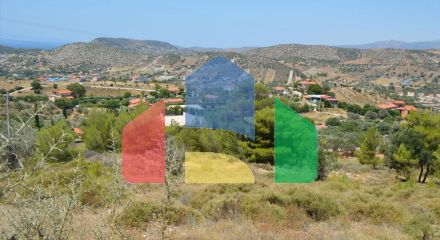 For Sale - Land 7700 m² in Attica
