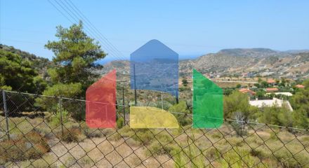 For Sale - Land 7700 m² in Attica