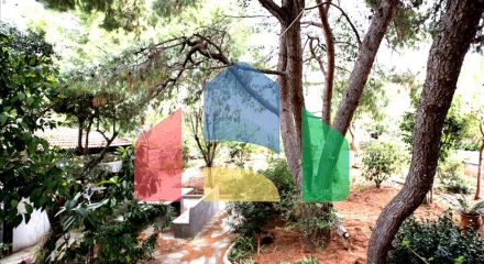 Продаж - Котедж 360 m² в Аттиці