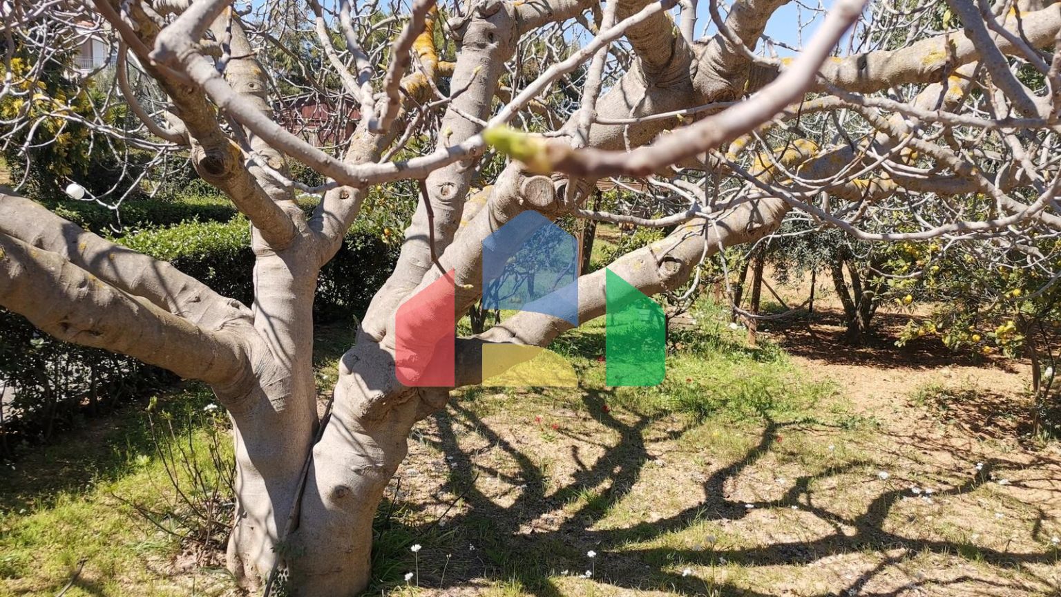 Продаж - Котедж 520 m² в Аттиці