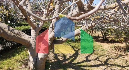 Продаж - Котедж 520 m² в Аттиці