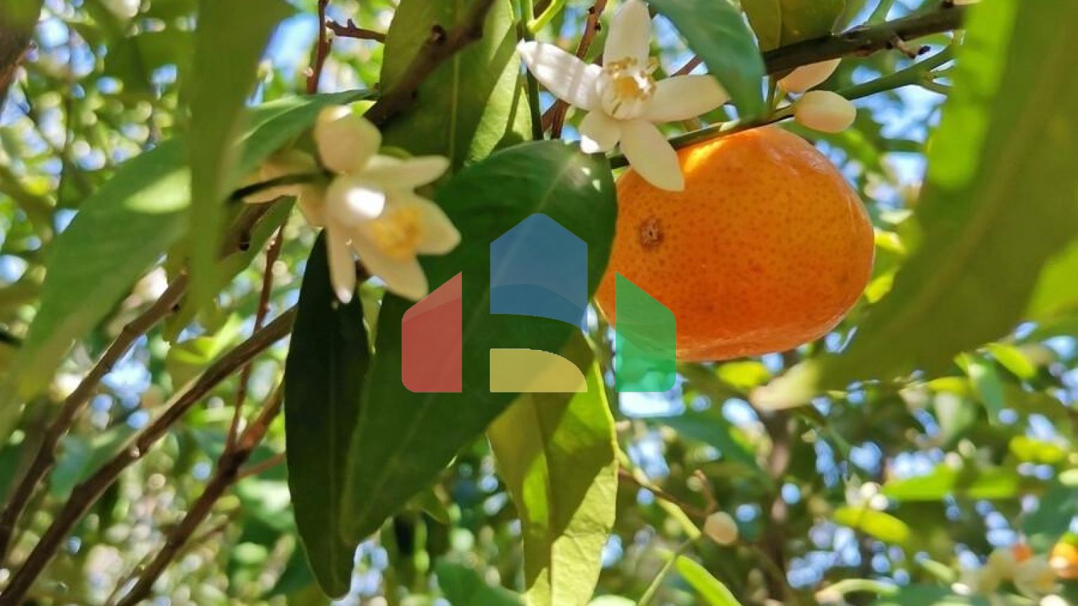 Продаж - Котедж 520 m² в Аттиці