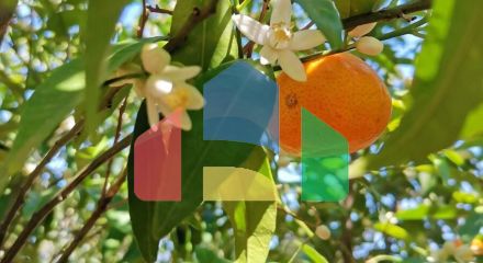 Продаж - Котедж 520 m² в Аттиці