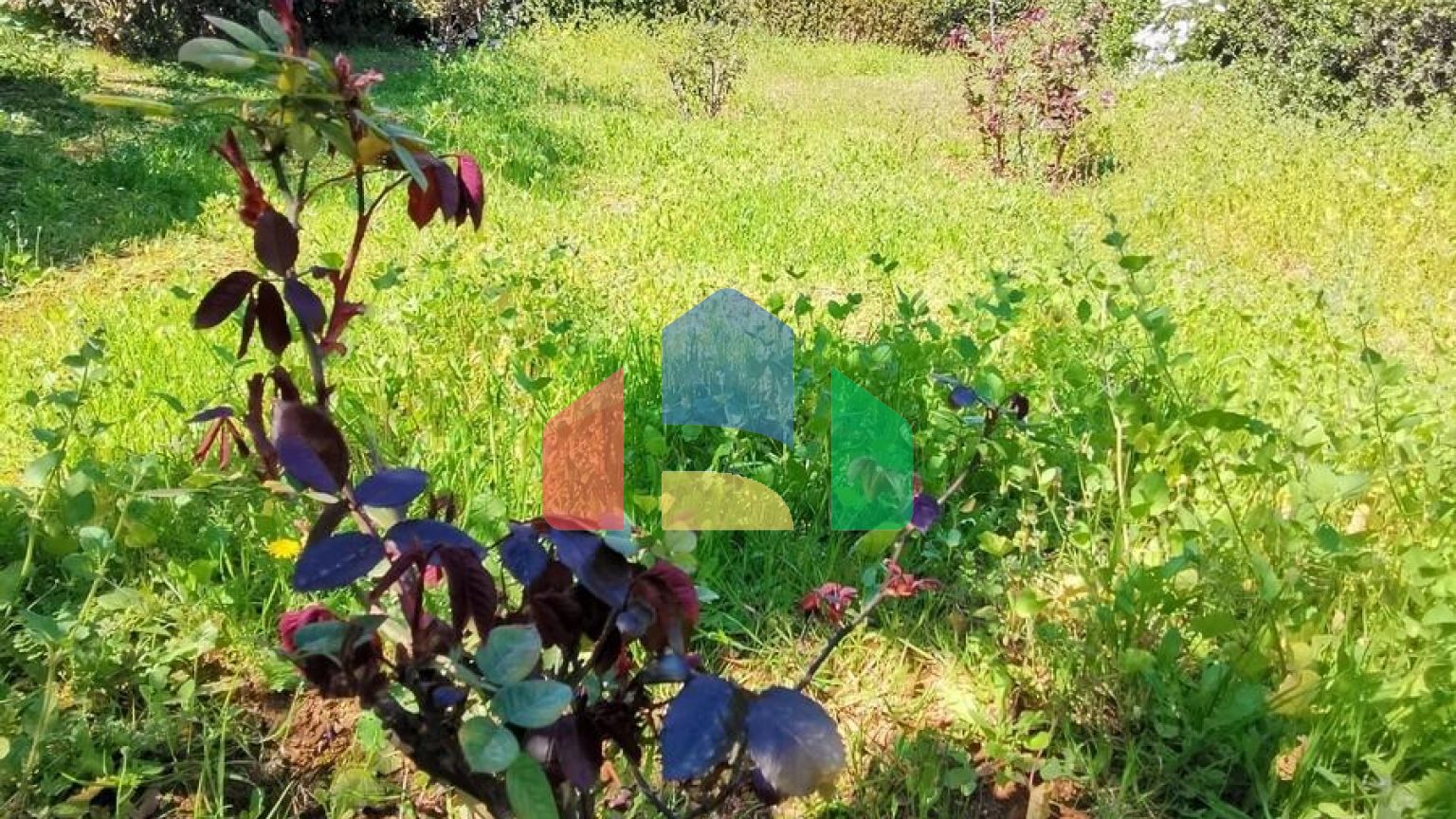 Продаж - Котедж 520 m² в Аттиці