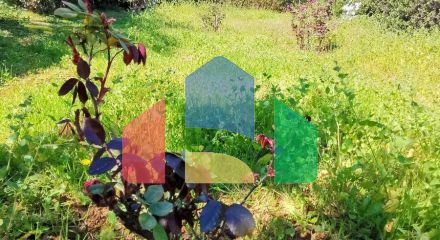 Продаж - Котедж 520 m² в Аттиці