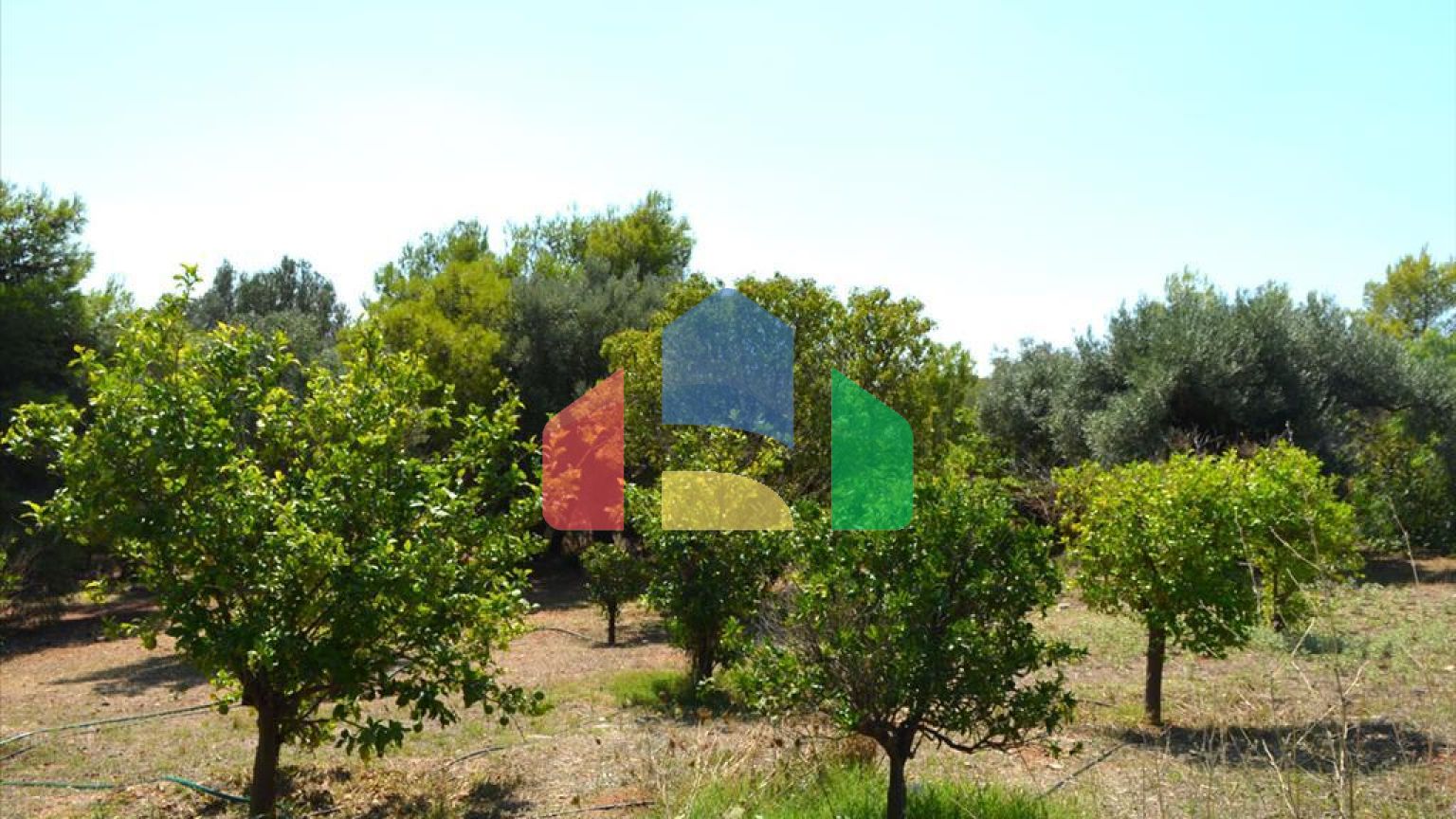 Продажа - Коттедж 330 m² в Аттике