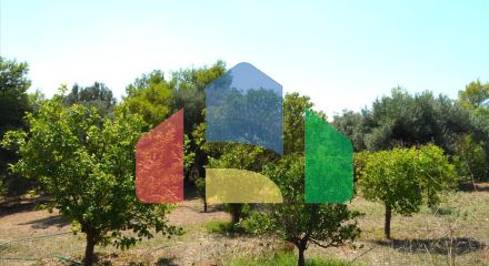 Продажа - Коттедж 330 m² в Аттике