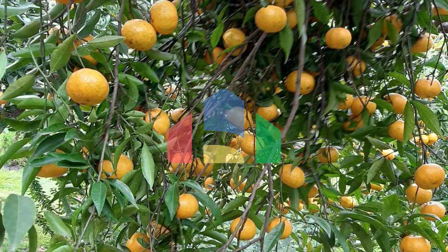 Продаж - Котедж 275 m² в Аттиці