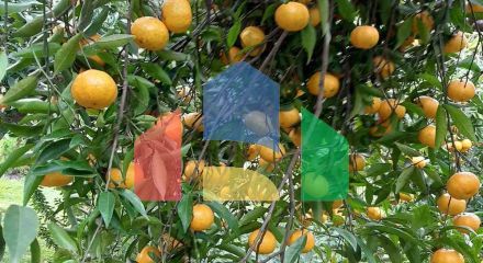 Продаж - Котедж 275 m² в Аттиці