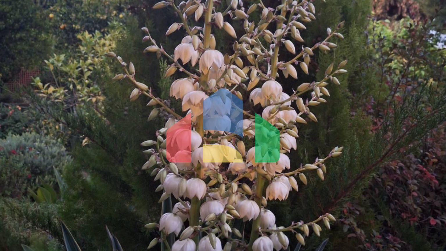 Продаж - Котедж 275 m² в Аттиці