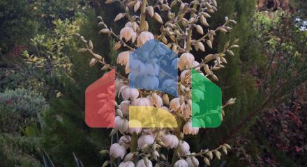 Продаж - Котедж 275 m² в Аттиці