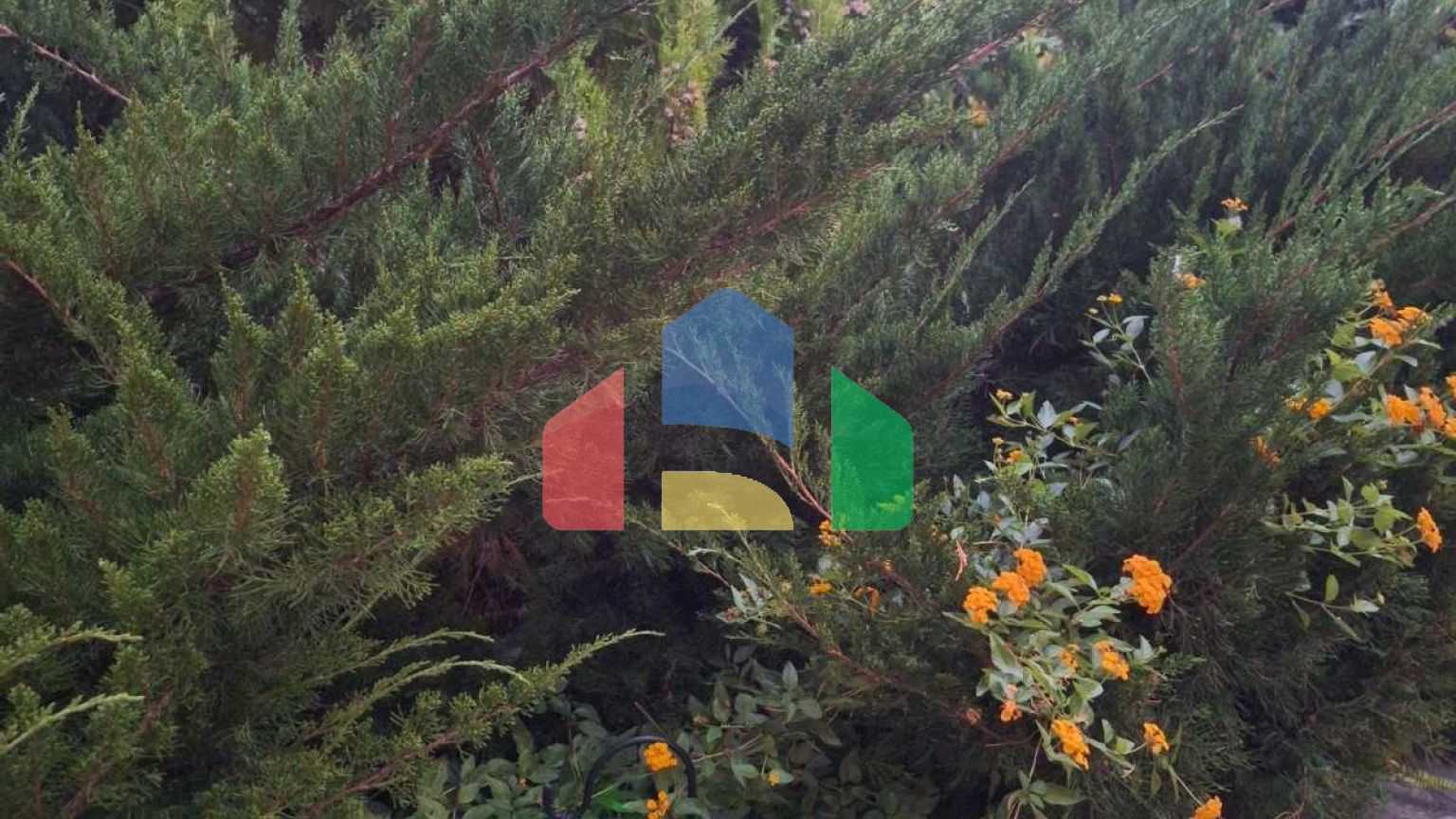 Продаж - Котедж 275 m² в Аттиці