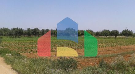 For Sale - Land 6500 m² in Attica