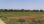 For Sale - Land 6500 m² in Attica