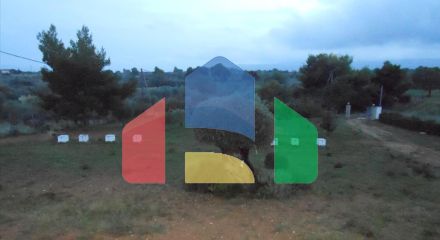 Продажа - Коттедж 230 m² в Аттике