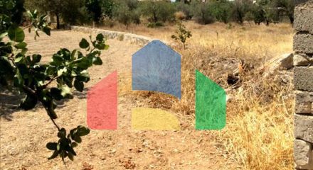 Продаж - Земельна ділянка 10000 m² в Аттиці