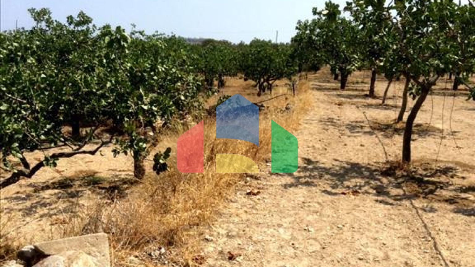 Продаж - Земельна ділянка 10000 m² в Аттиці