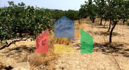 Продаж - Земельна ділянка 10000 m² в Аттиці