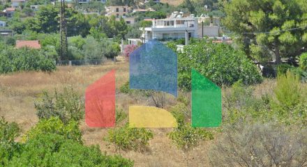 For Sale - Land 7000 m² in Attica