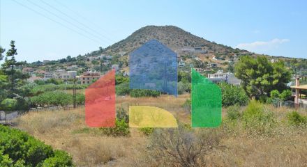 For Sale - Land 7000 m² in Attica