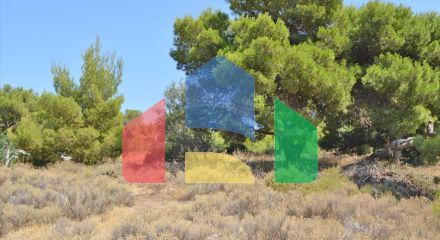 For Sale - Land 7000 m² in Attica