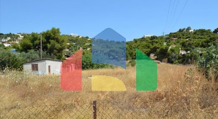 For Sale - Land 7000 m² in Attica