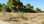For Sale - Land 500 m² in Attica